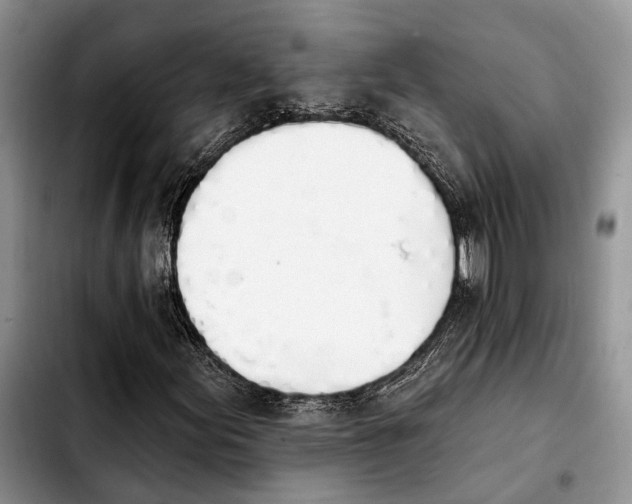 X0000103931155200810101347