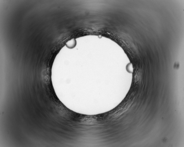 X0000103931156200810101347