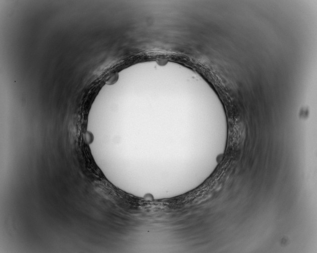 X0000103931157200810101347