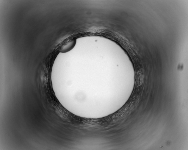 X0000103931158200810101347