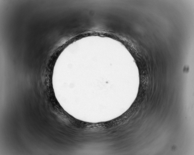 X0000103931159200810101347