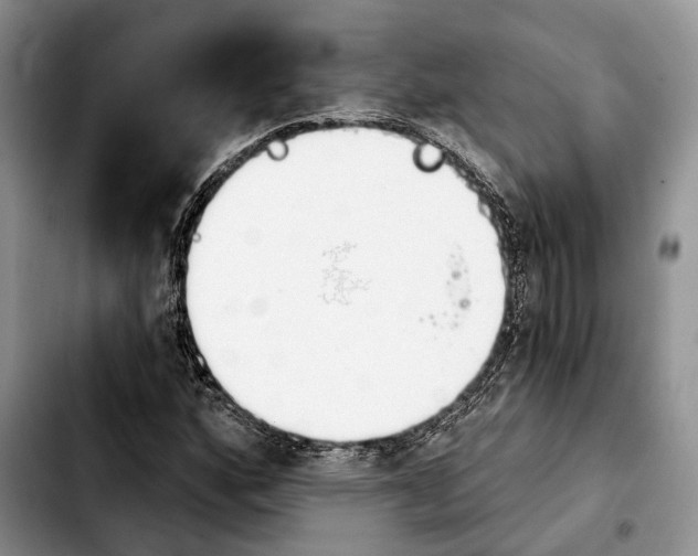 X0000103931160200810101347