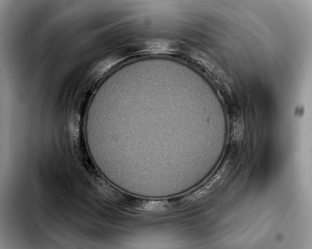 X0000103931161200810101347