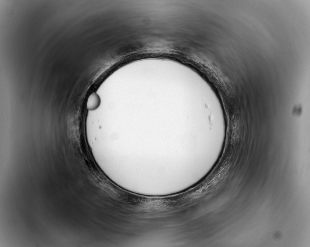 X0000103931162200810101347