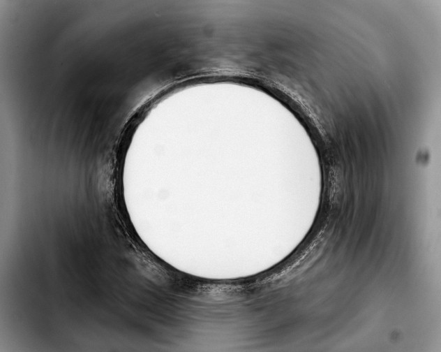 X0000103931163200810101347