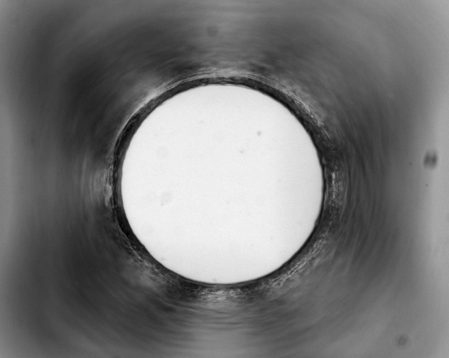 X0000103931165200810101347