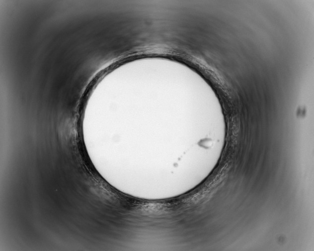 X0000103931166200810101347