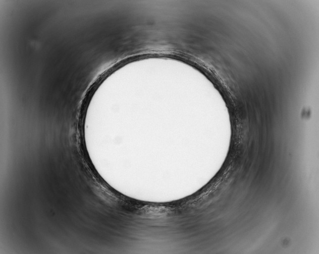 X0000103931168200810101347