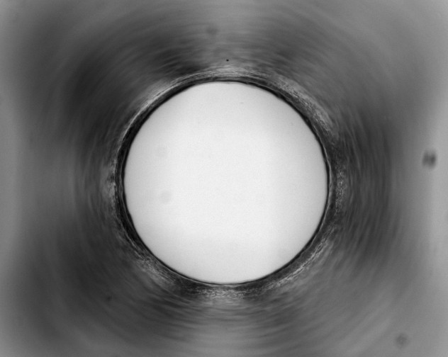 X0000103931170200810101347