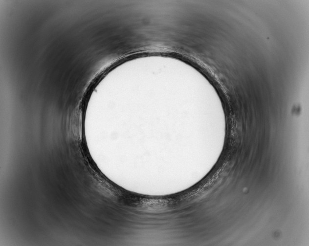 X0000103931171200810101347