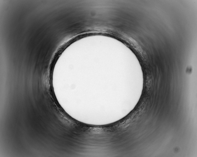 X0000103931172200810101347