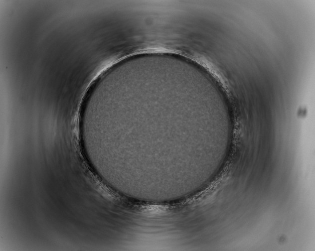 X0000103931173200810101346