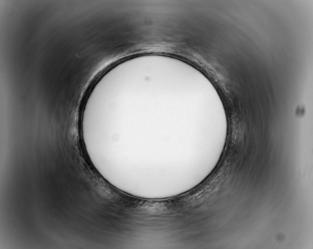 X0000103931174200810101346