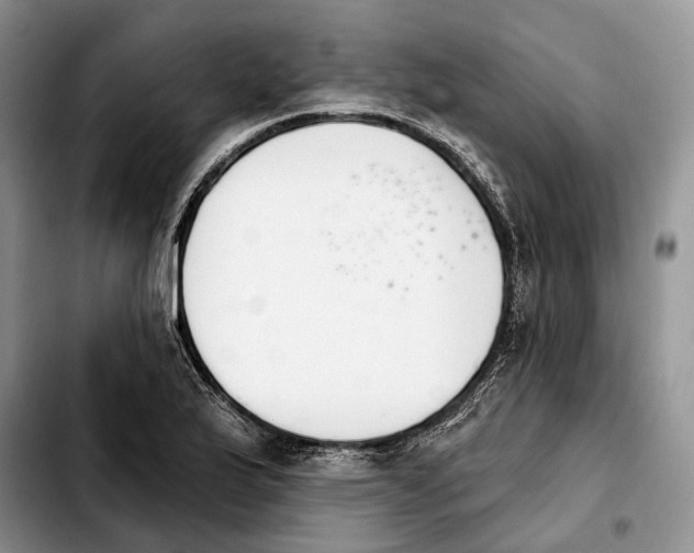 X0000103931175200810101346