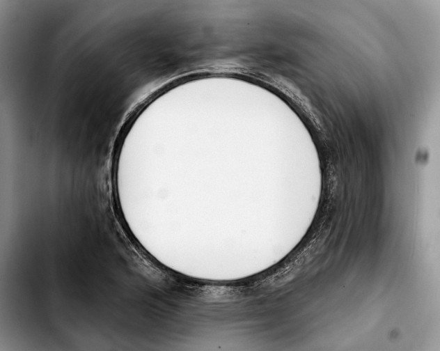 X0000103931176200810101346