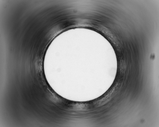 X0000103931177200810101346