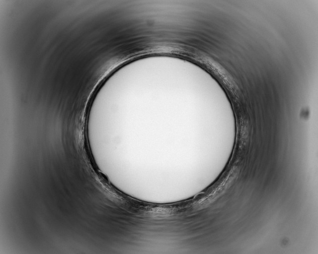 X0000103931178200810101346