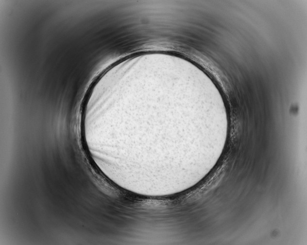 X0000103931179200810101346