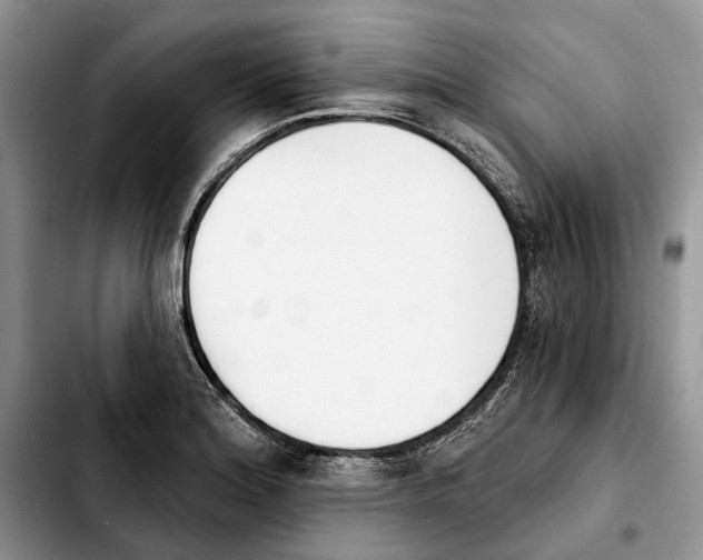 X0000103931180200810101346