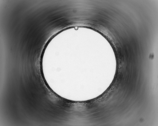 X0000103931181200810101346