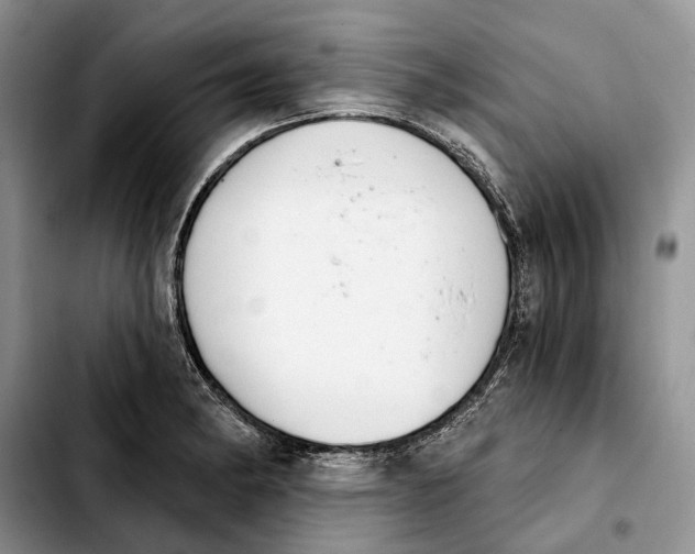 X0000103931182200810101346