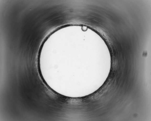 X0000103931183200810101346