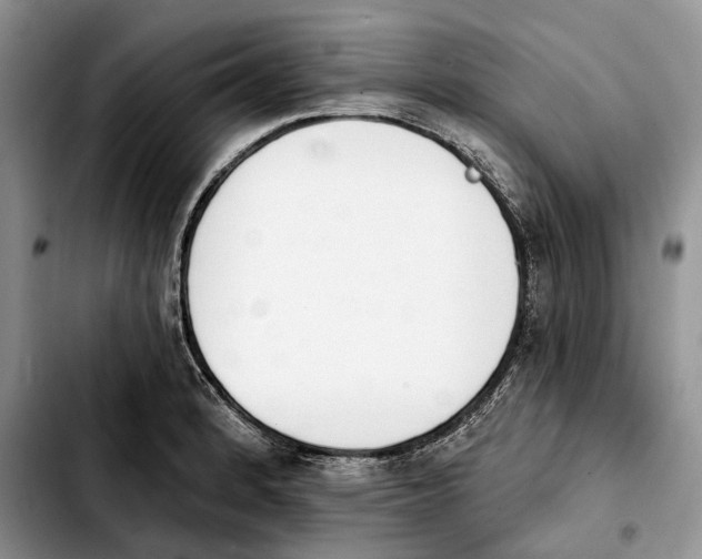 X0000103931184200810101346