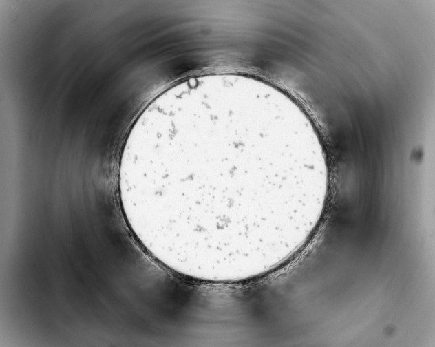 X0000103931185200810101346