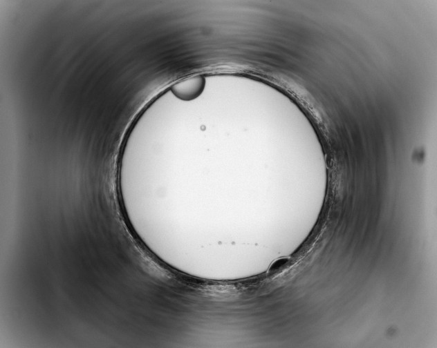 X0000103931186200810101346