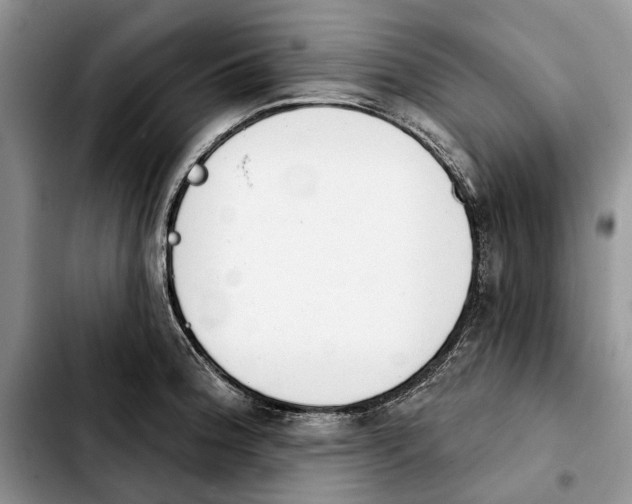 X0000103931188200810101346