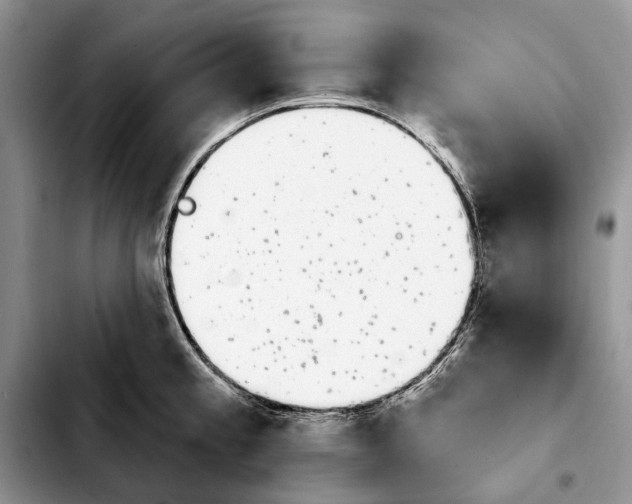 X0000103931189200810101346