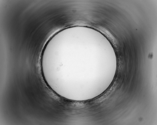 X0000103931190200810101346