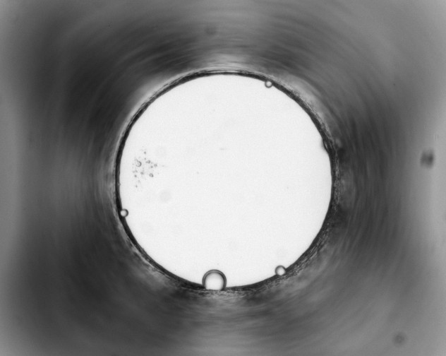 X0000103931191200810101346