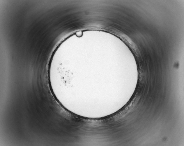 X0000103931192200810101346