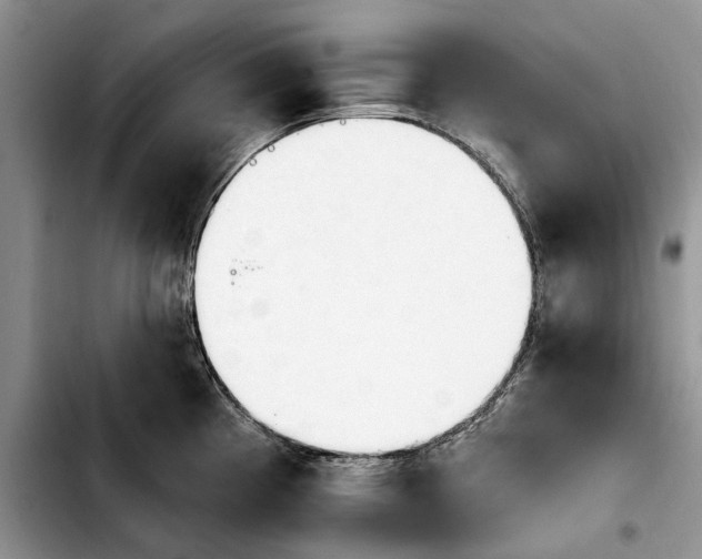 X0000103931193200810101346