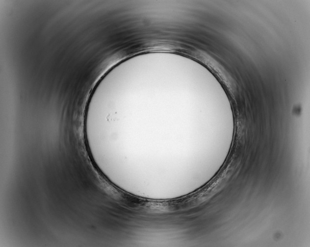 X0000103931194200810101346