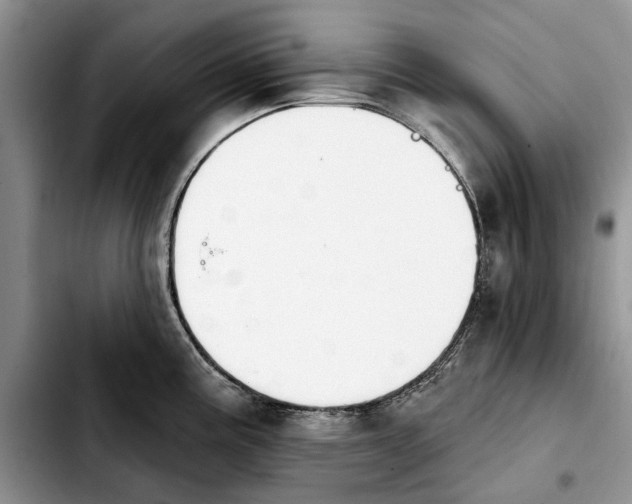 X0000103931195200810101346