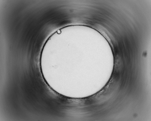 X0000103931197200810101346