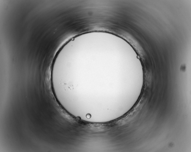 X0000103931198200810101346