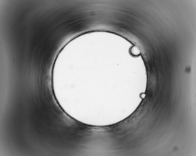 X0000103931199200810101346