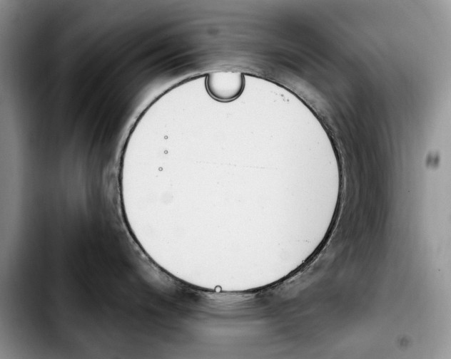 X0000103931200200810101346