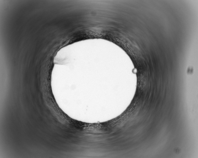 X0000103931201200810101345