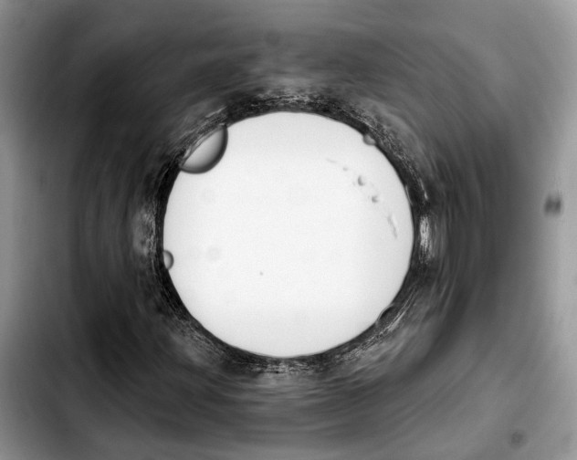 X0000103931203200810101345