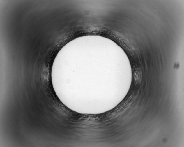 X0000103931204200810101345