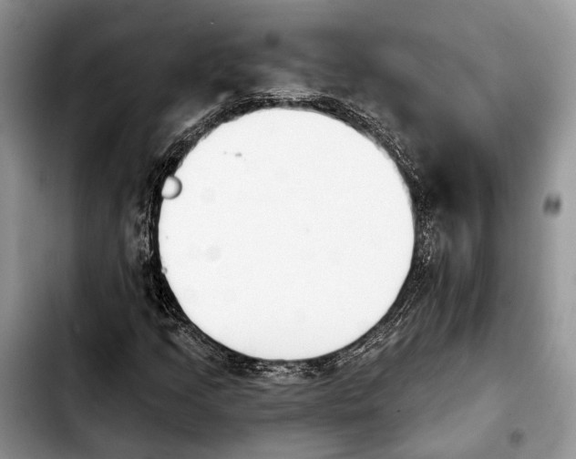 X0000103931205200810101345