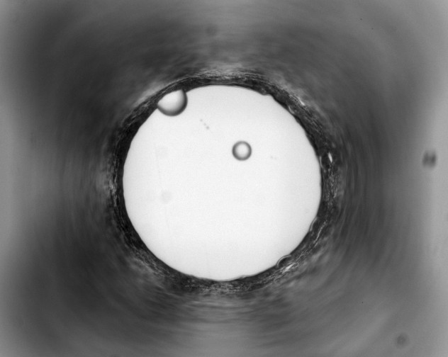 X0000103931206200810101345