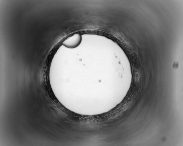 X0000103931208200810101345