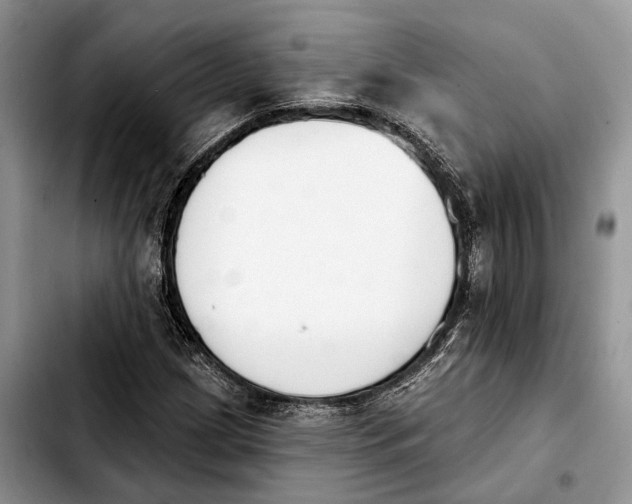 X0000103931209200810101345