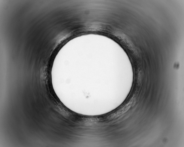 X0000103931210200810101345