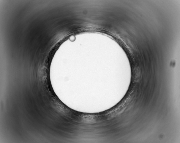 X0000103931211200810101345